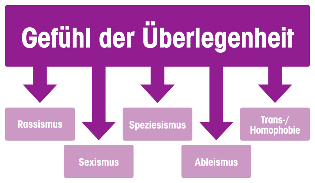 Grafik