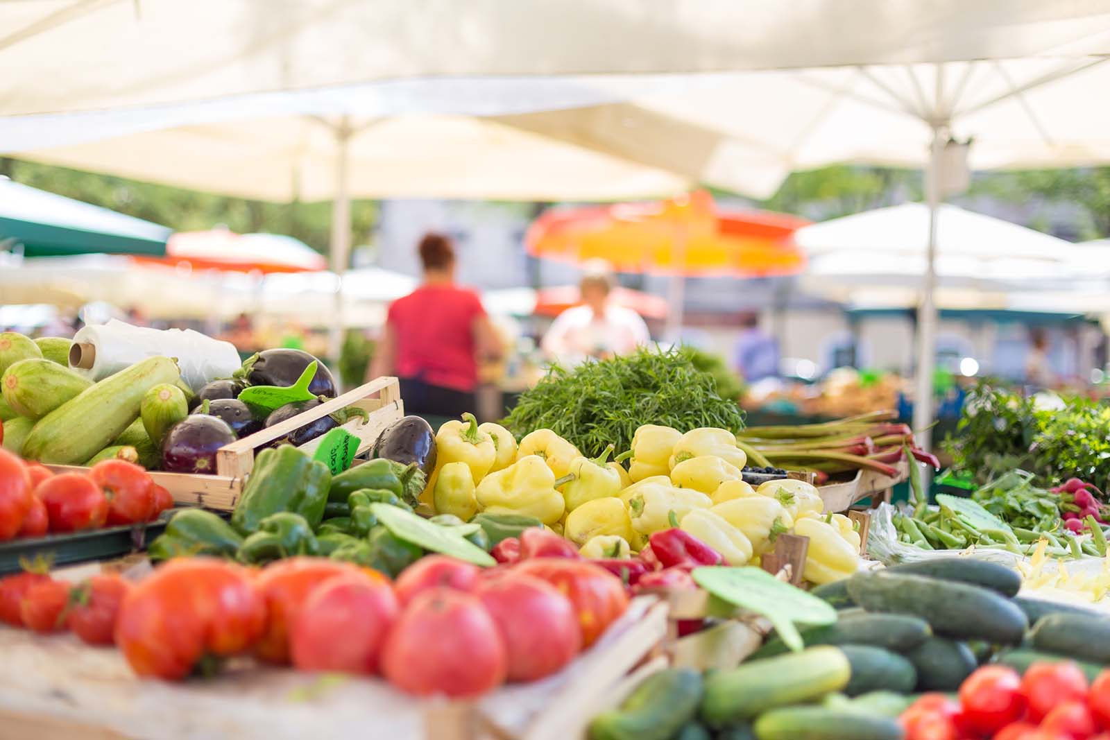 Studie: Vegane Welt kann die CO₂-Emissionen um 68% senken