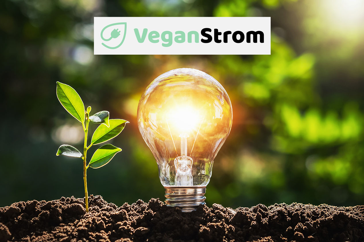 Vegan Strom: Der tierfreundliche Stromtarif von Greenstone Energy