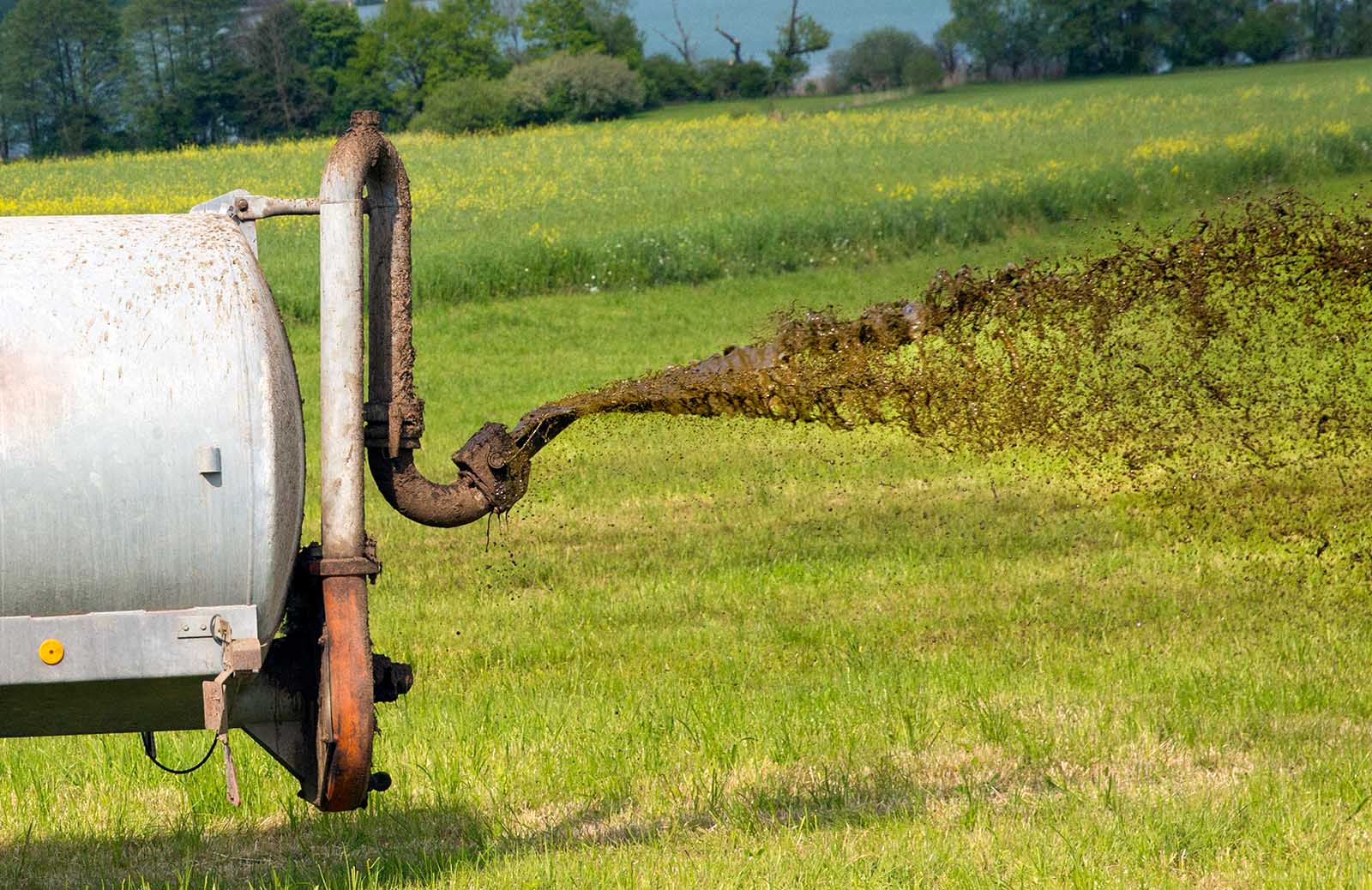 Feld wird mit Guelle geduengt