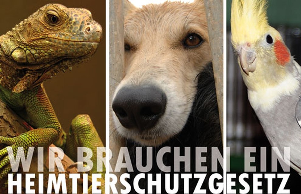 Thumbnail Wir brauchen ein Tierschutzgesetz