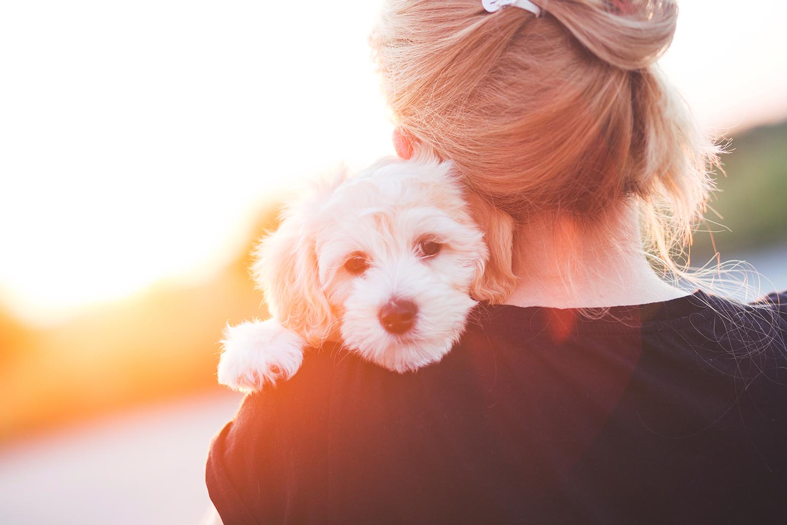 Frau haelt Hund im Arm