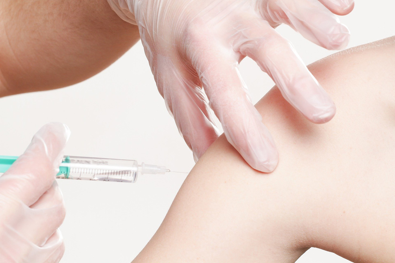 Corona-Impfstoff: Behörde wartet nicht auf sinnlose Tierversuche