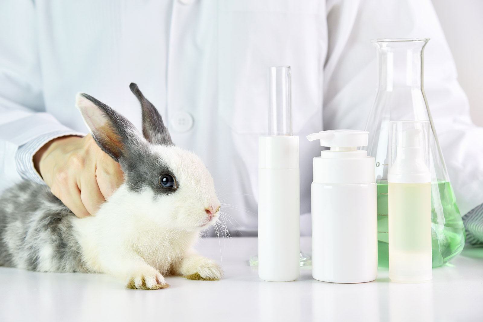 Fragen und Antworten zu Tierversuchen für Kosmetik