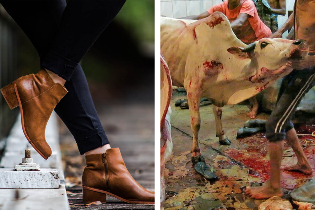 Collage. Lederschuh und Kuh im Schlachthaus.