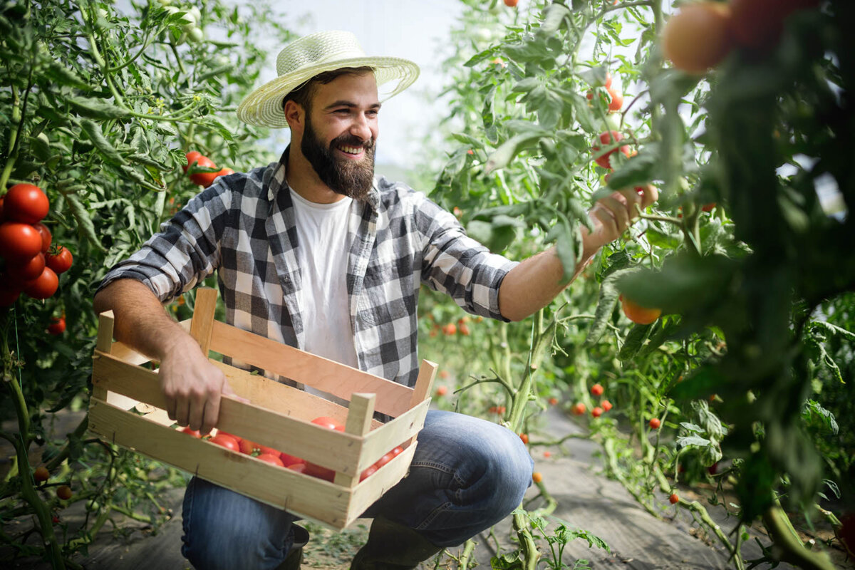 Vegan fürs Klima: Was wir alle gegen die Klimakrise tun können