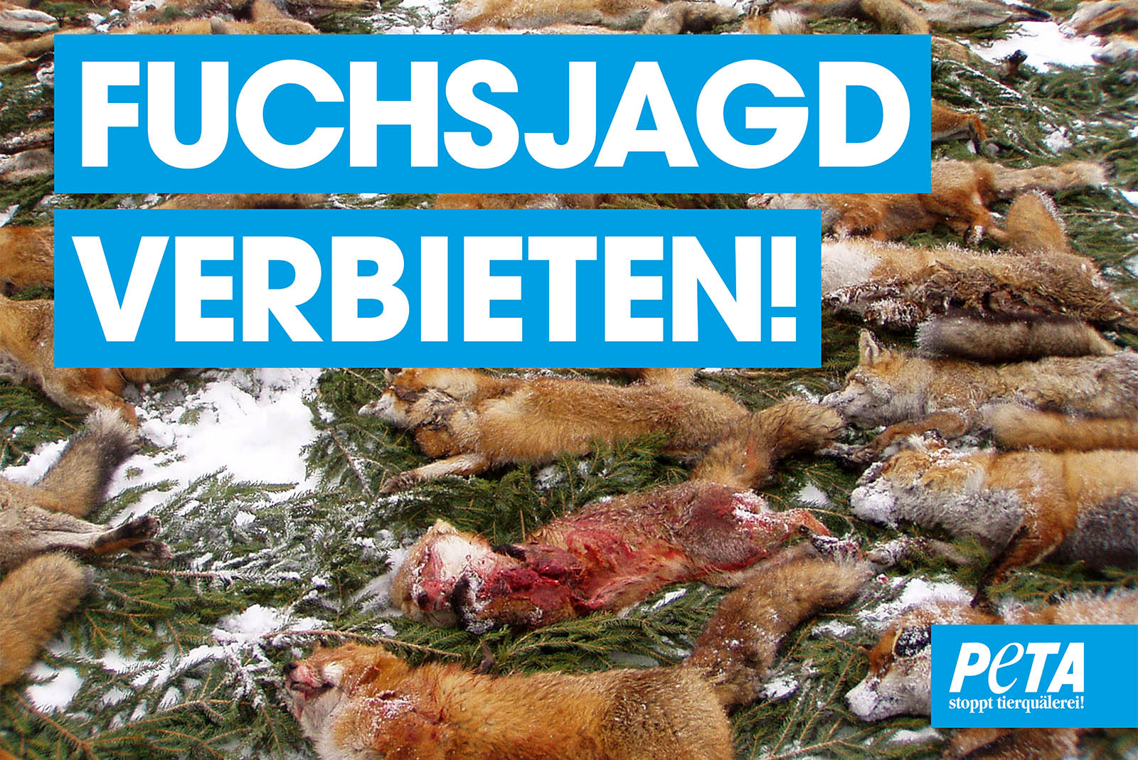 Mahnwache gegen die Fuchsjagd – jetzt kostenloses Demopaket bestellen!