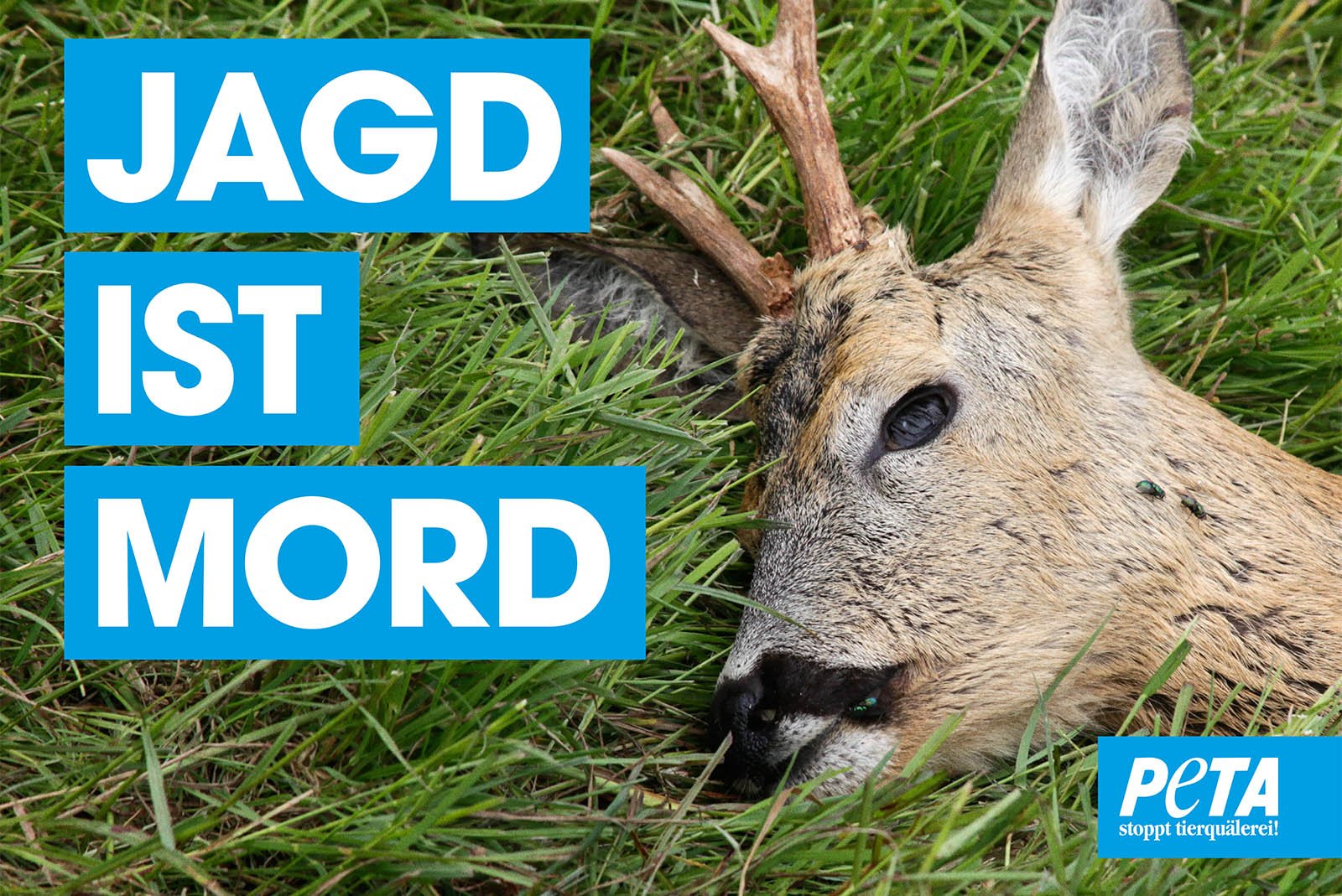 Mahnwache gegen die Jagd – jetzt kostenloses Demopaket bestellen!