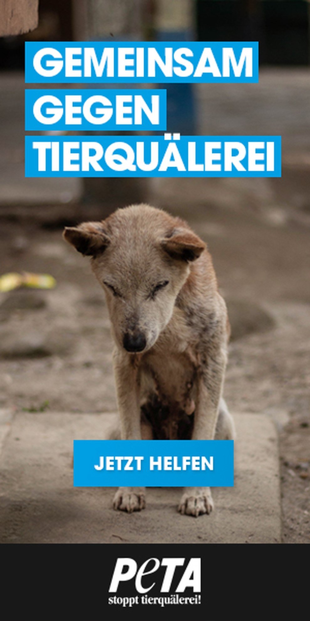 PETA Deutschland - Gemeinsam gegen Tierquälerei
