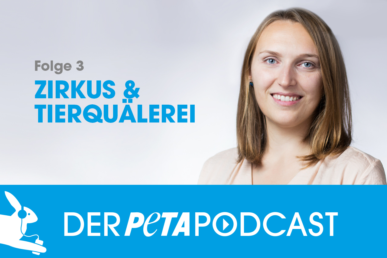 Der PETA Podcast | Folge 3: Wenn der Vorhang fällt – Zirkus & Tierquälerei