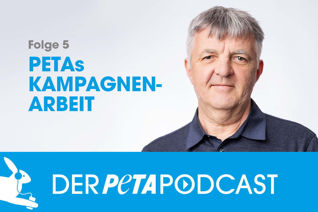 Der PETA Podcast | Folge 5: PETAs Kampagnenarbeit