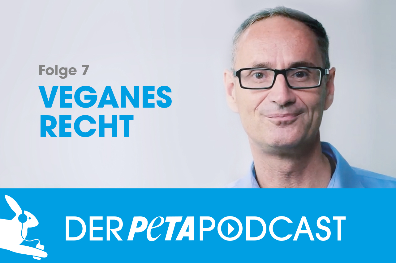 Der PETA Podcast | Folge 7: Veganes Recht in Deutschland