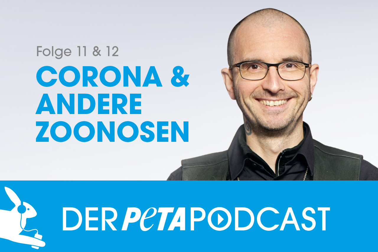 Der PETA-Podcast | Folgen 11 & 12: Corona und andere Zoonosen