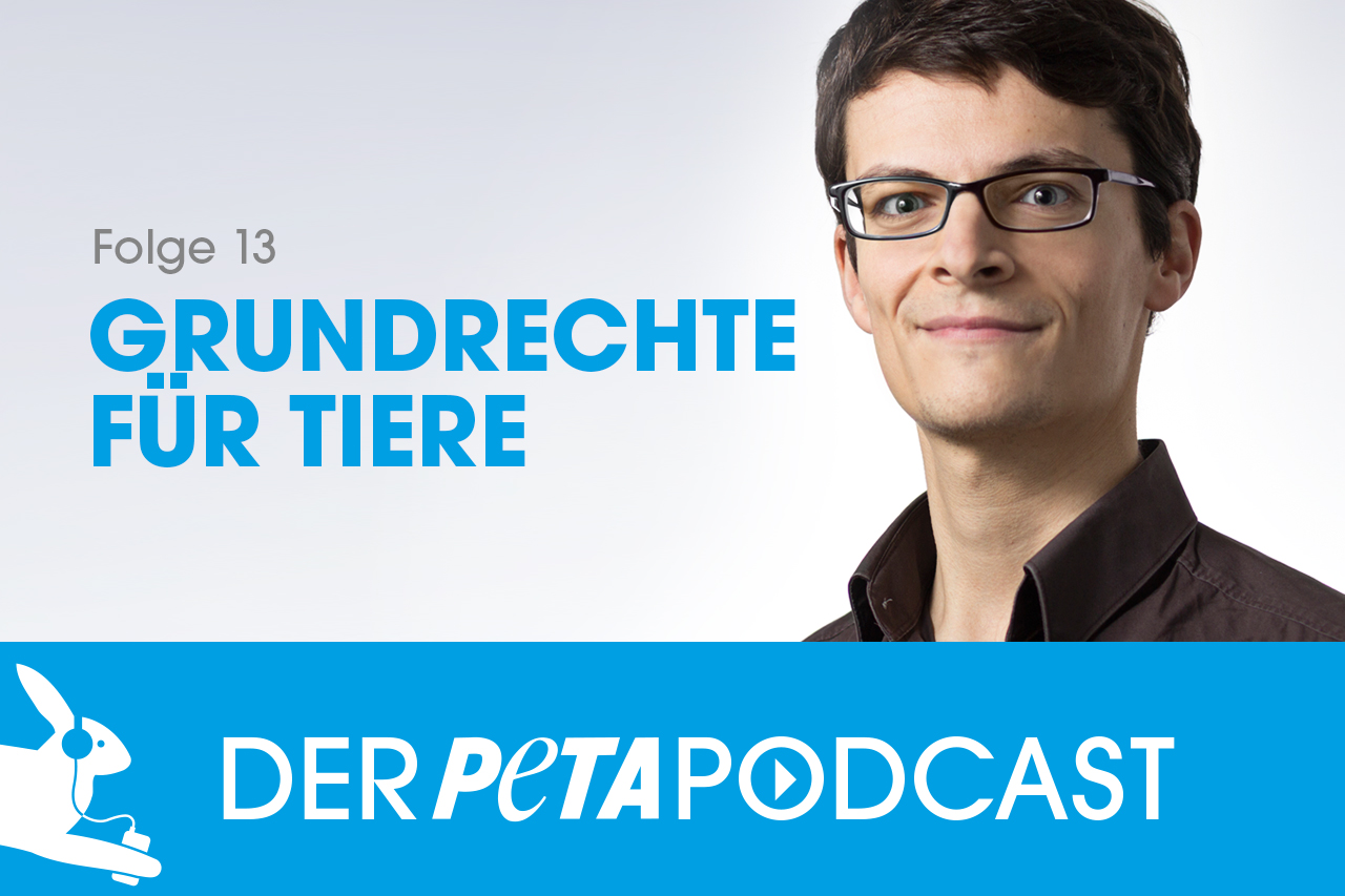 Der PETA Podcast | Folge 13: Grundrechte für Tiere