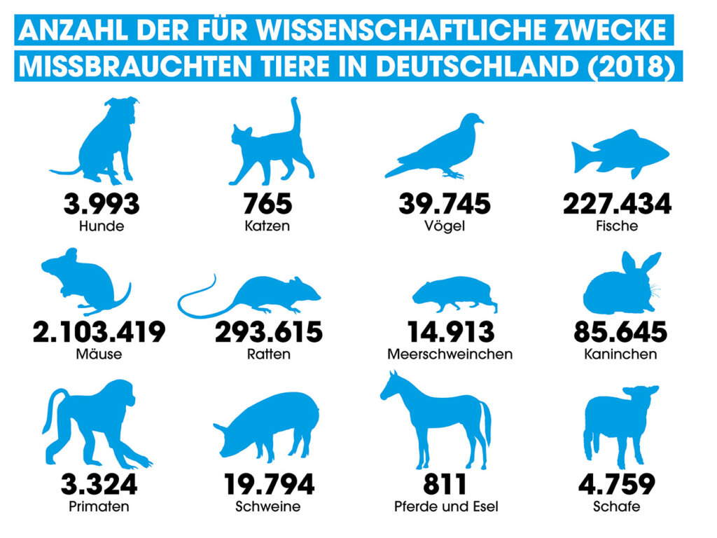 Welches Tier Tötet Die Meisten Menschen Im Jahr www.peta.de