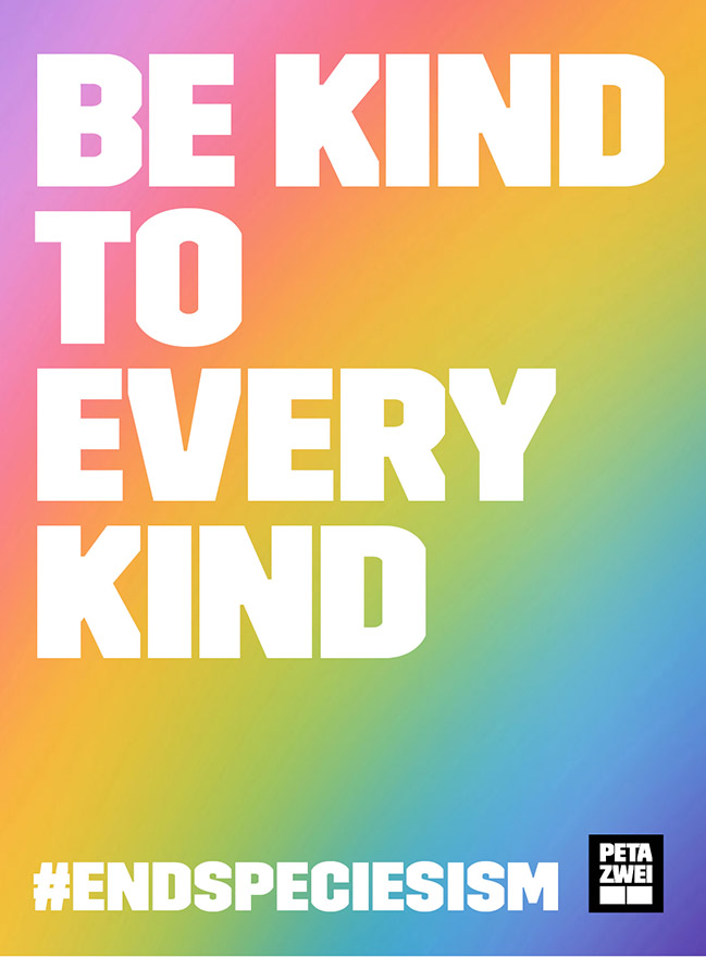 Be kind to every kind