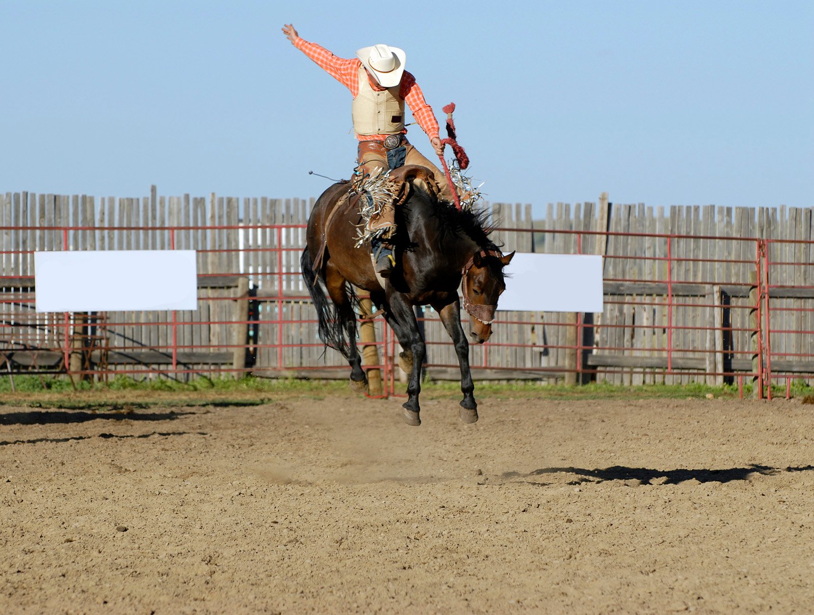 Rodeo: Grausamkeit für ein Taschengeld