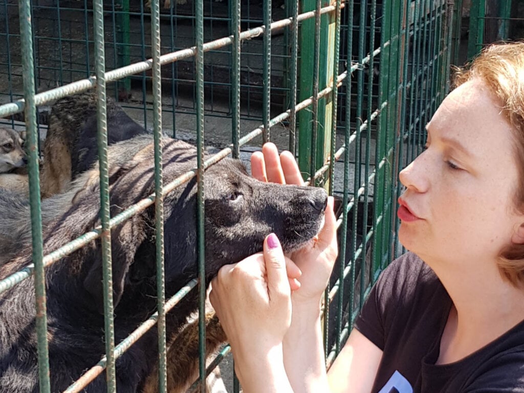 Frau streichelt Hund durch Zaun