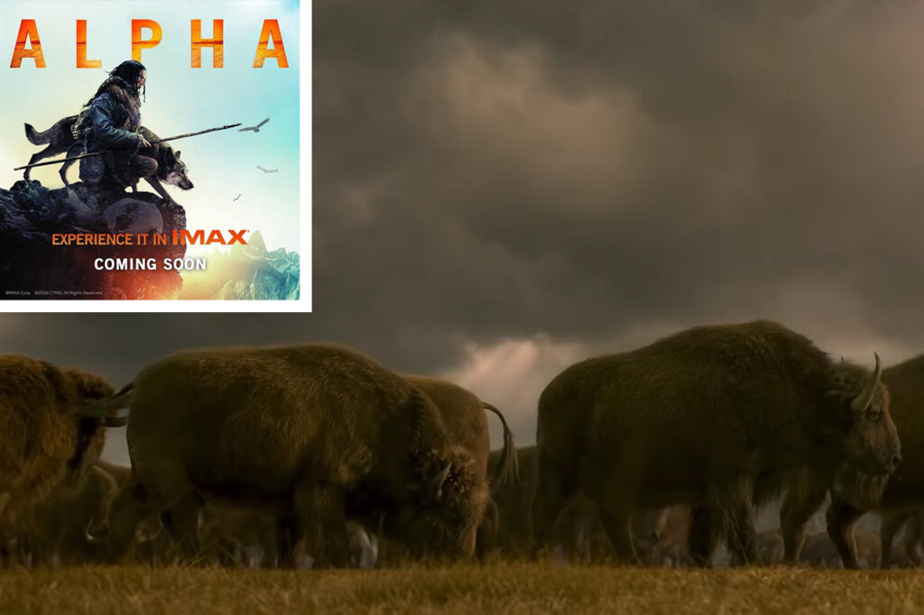 Alpha Kinofilm