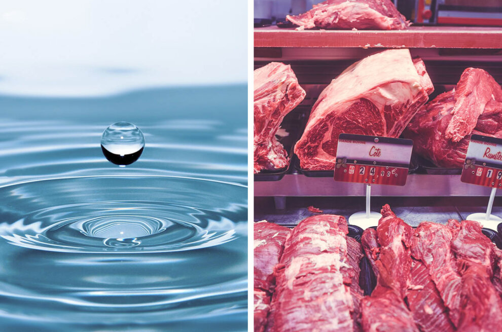 Collage. Wasser und Fleisch