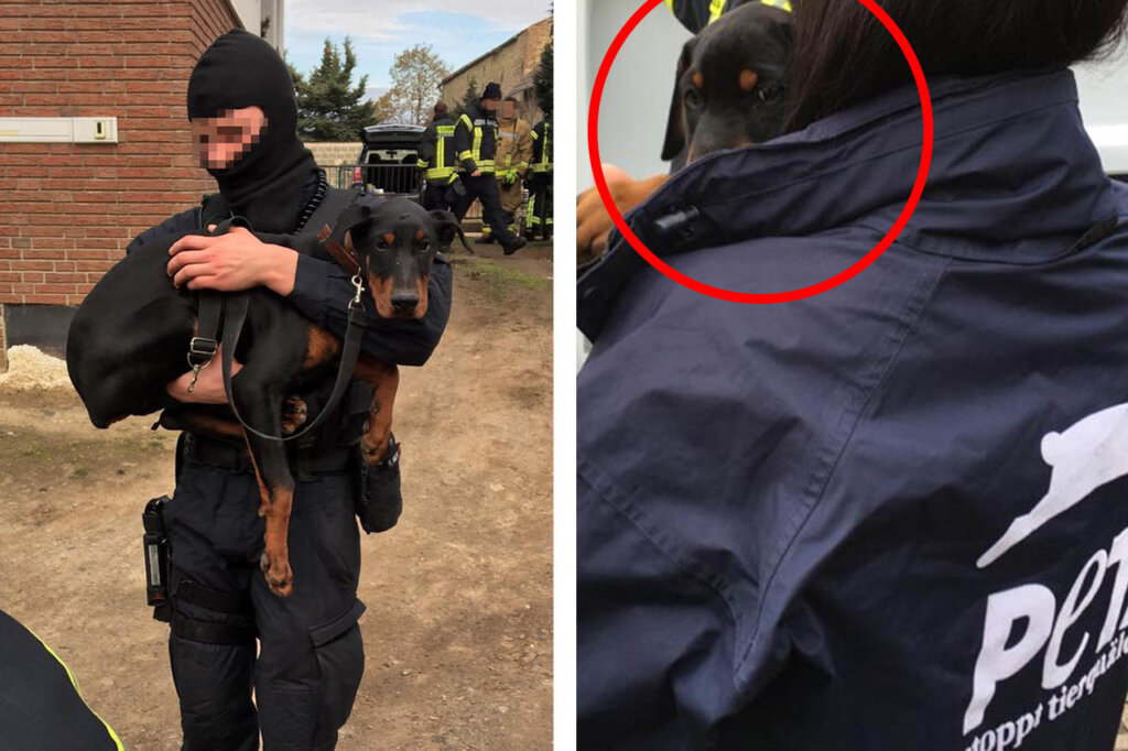 Polizist traegt Welpe auf dem Arm