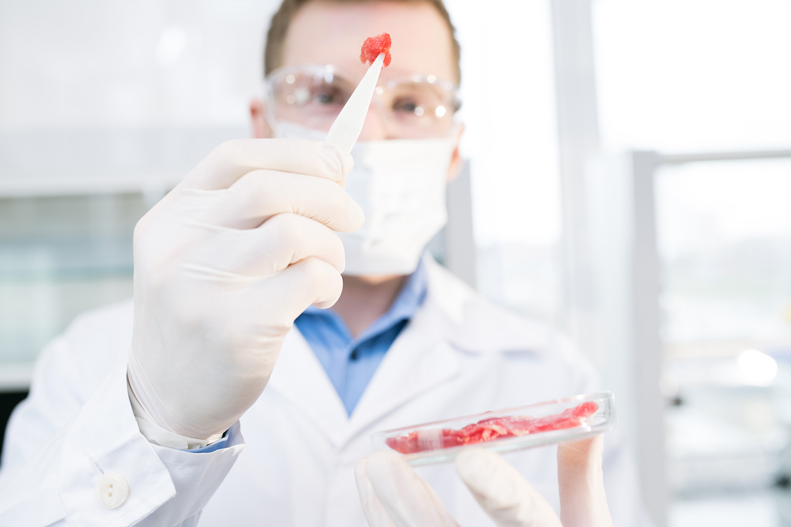 In-vitro-Fleisch und Clean Meat: Gibt es Fleisch aus dem Labor?