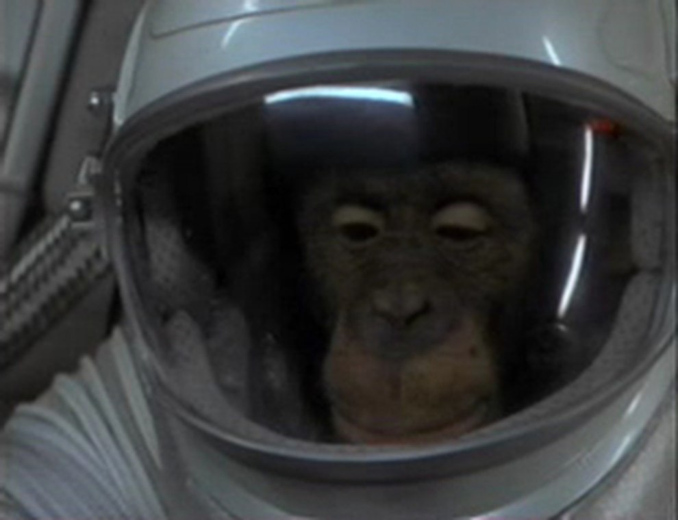 Schimpanse im Astronautenanzug