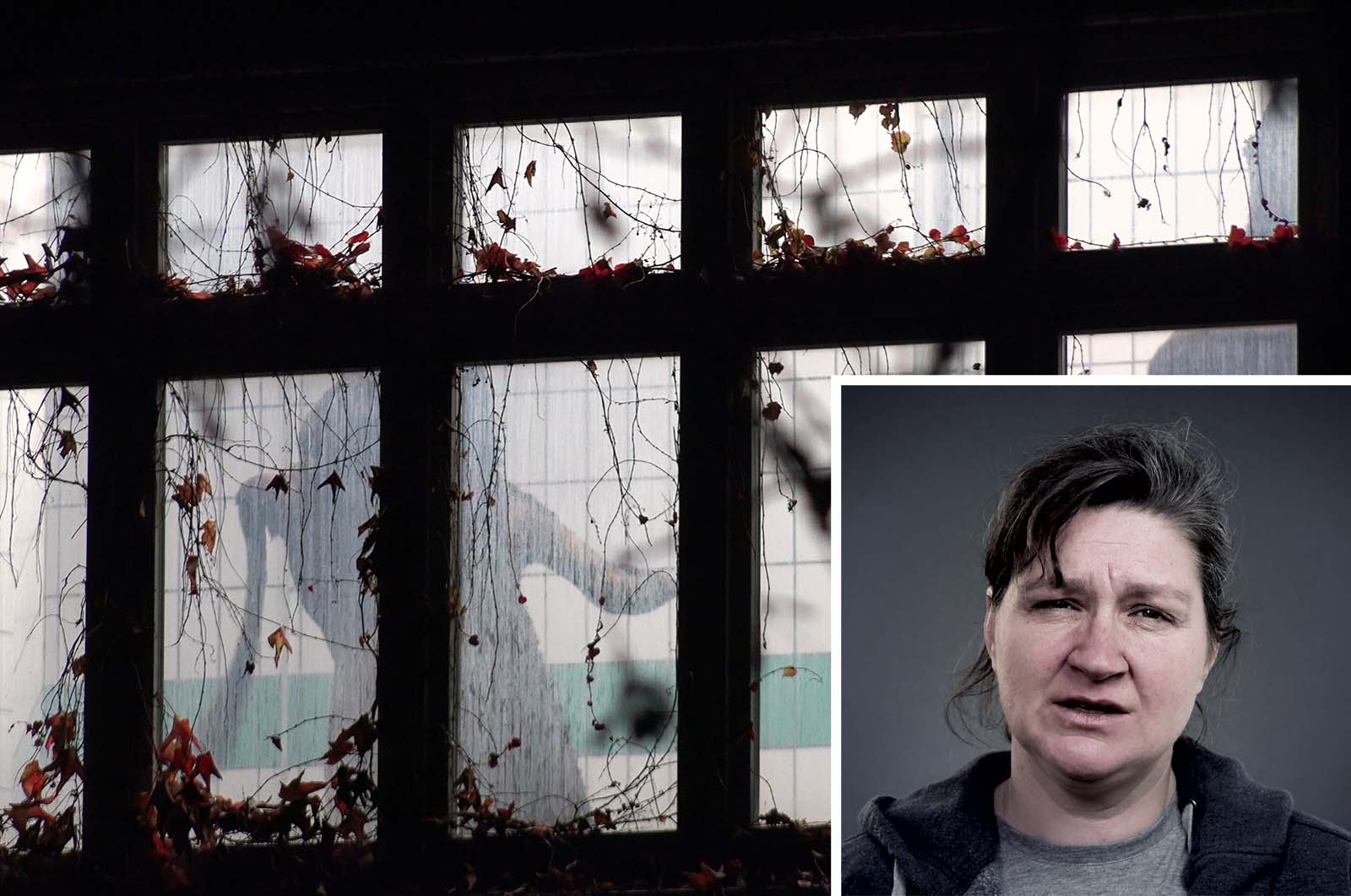 Ehemalige Amtstierärztin erzählt aus ihrem Horror-Alltag im Schlachthaus