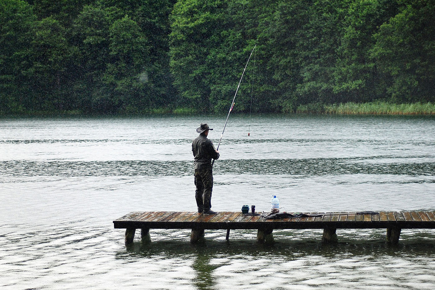 Angler in Sicht? Die besten Tipps, was Sie tun können