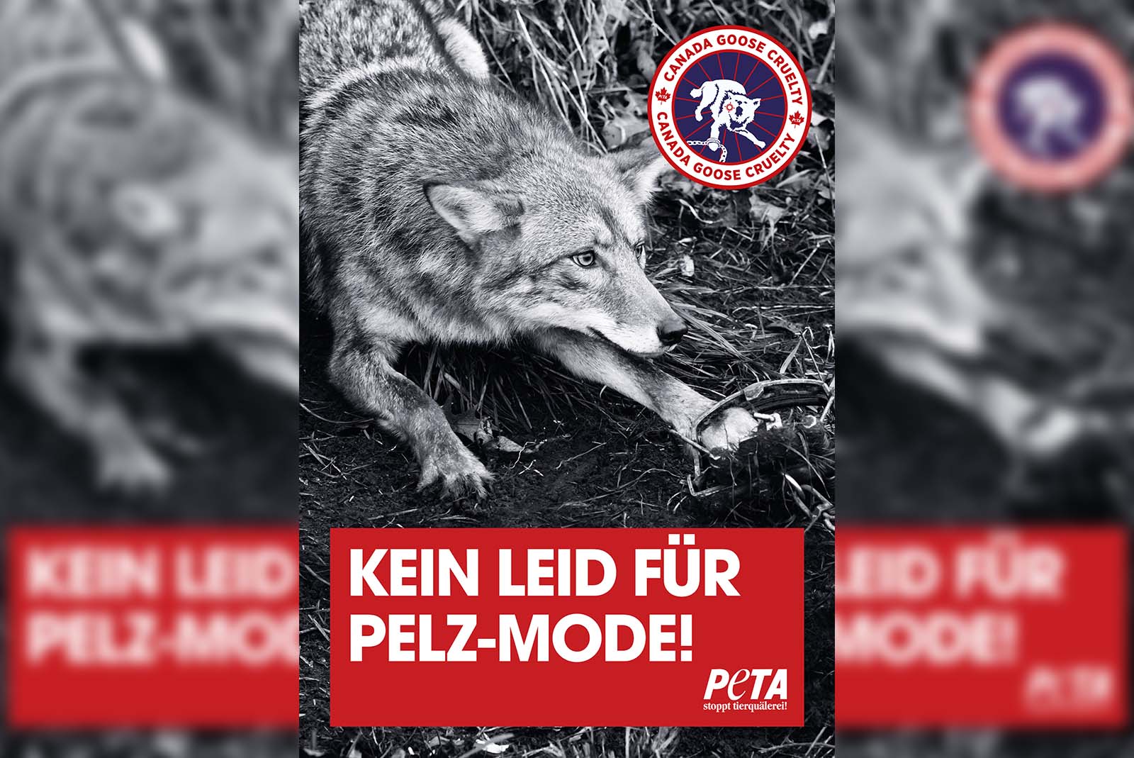 Demo gegen Canada Goose: Kostenloses Demopaket jetzt bestellen!