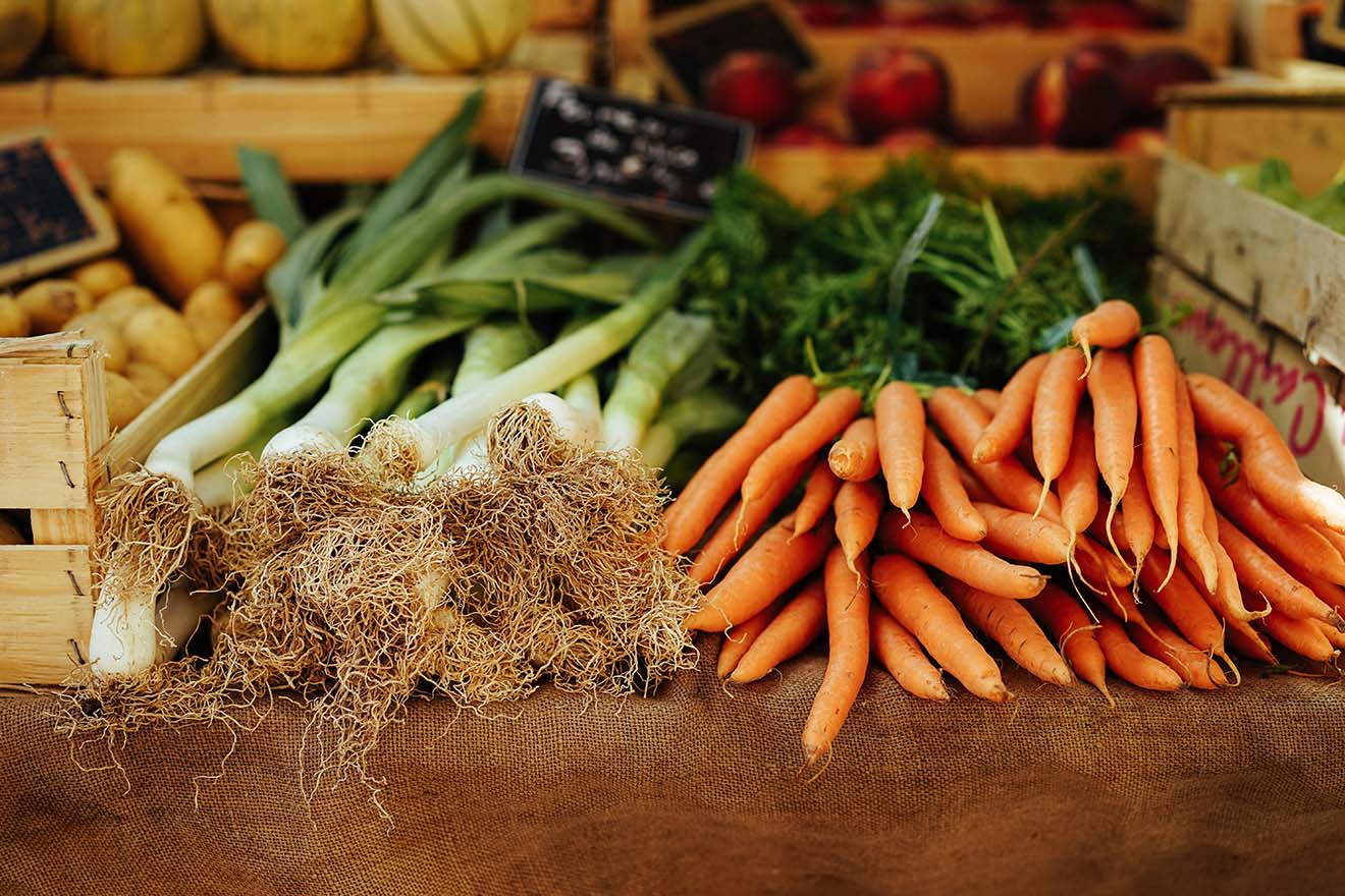 Bio-vegane Landwirtschaft: ohne Tierhaltung, Gülle und Tierleid