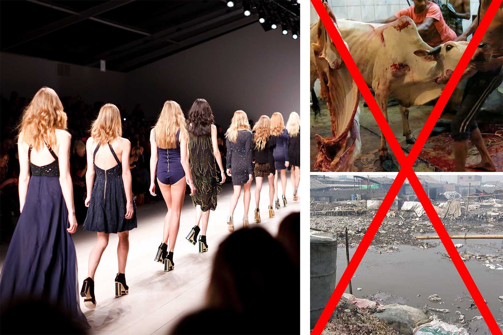 Erfolg: Helsinki Fashion Week verbannt Leder, weil es die Umwelt zerstört und Tieren das Leben kostet