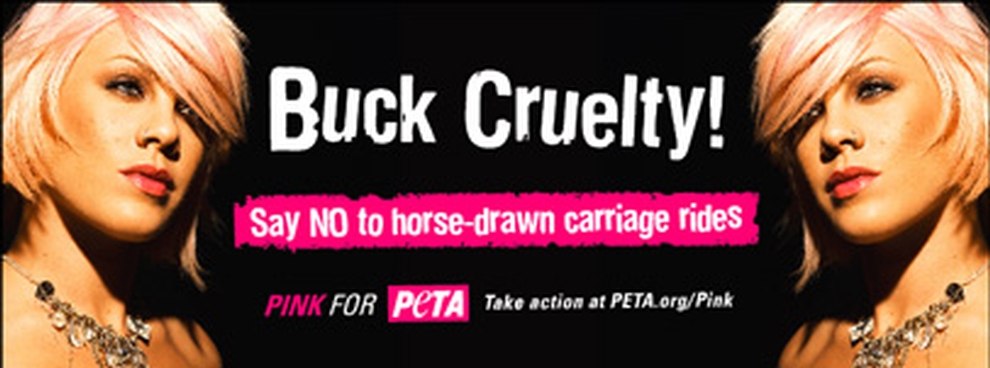 PETA Anzeige PINK gegen Pferdekutschen
