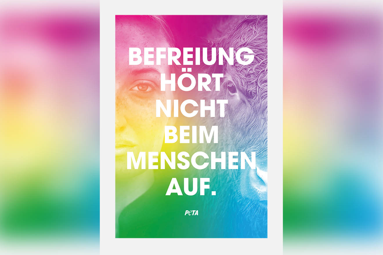 Speziesismus beenden – jetzt kostenloses Demopaket bestellen!