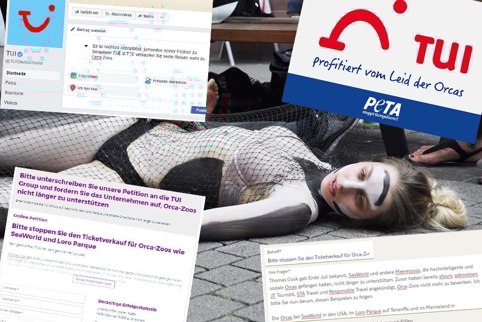 PETA-Aktionswoche: Fordern Sie TUI auf, das Leid der Orcas nicht länger zu unterstützen!
