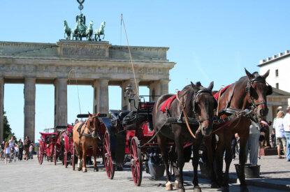 pferdekutschen vor dem brandenburger tor