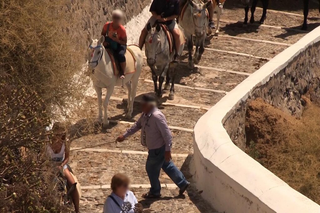 Touristen reiten Esel auf einer Treppe in Santorin