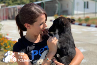 PETA HELPS ROMANIA