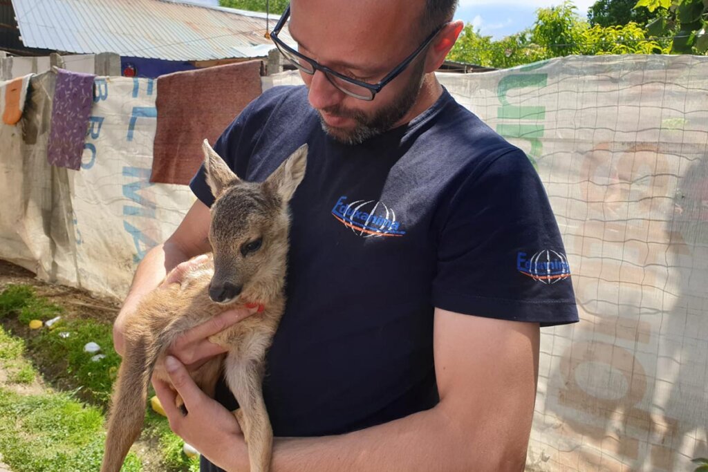 Mann haelt Rehkitz im Arm
