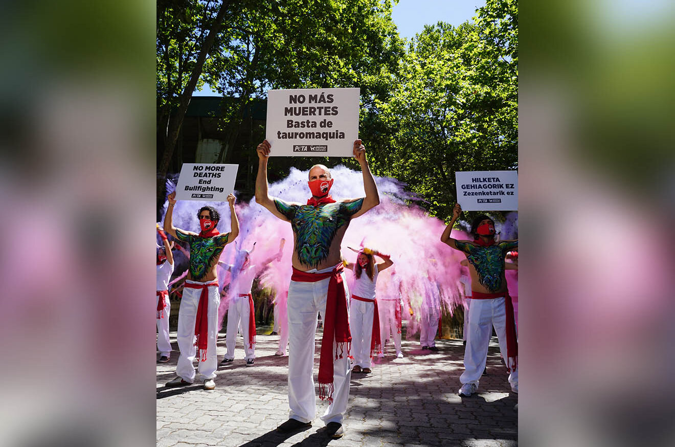 Proteste gegen Stierrennen und Stierkaempfe