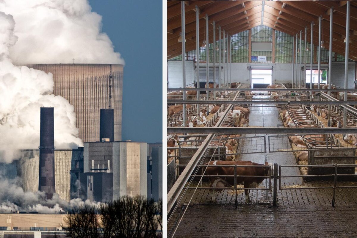 Treibhausgase aus der Landwirtschaft – Klimakiller Tierhaltung