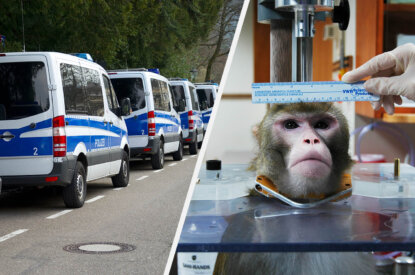 Collage. Polizeiautos und Affe im Tierversuch