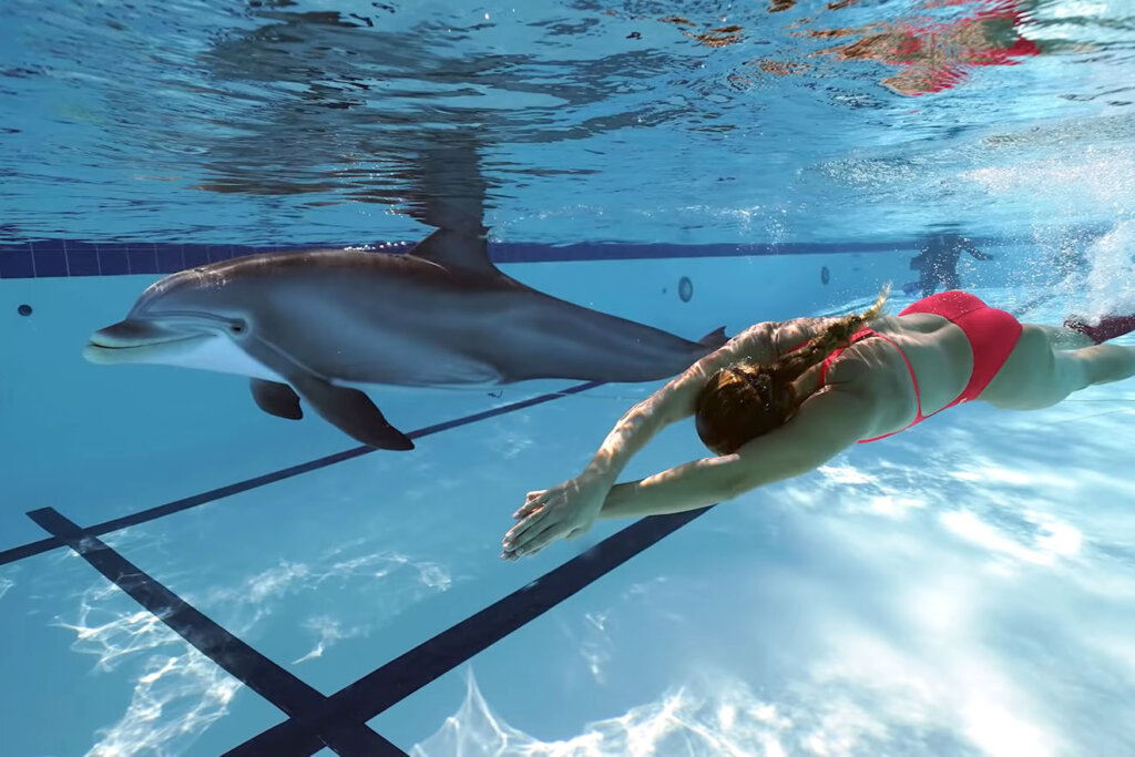 Frau schwimmt mit Delfinroboter