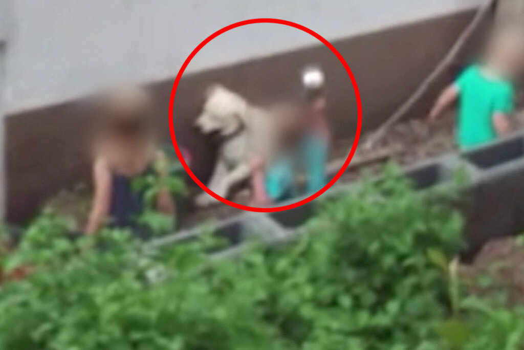 Kinder schlagen Hund
