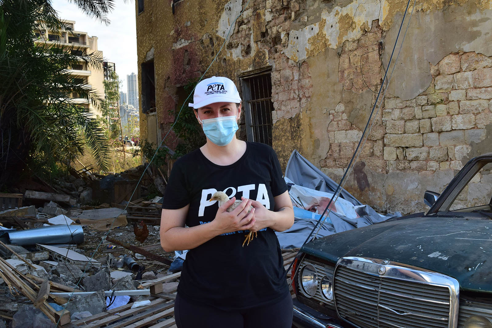 Nach Explosion in Beirut: So hilft PETA den Tieren vor Ort