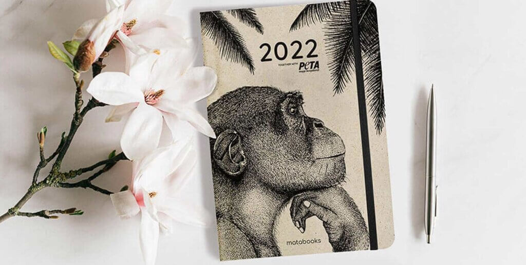 Kalender Equality
