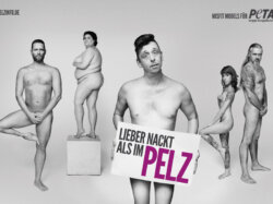 PETA Motiv Misfit Models