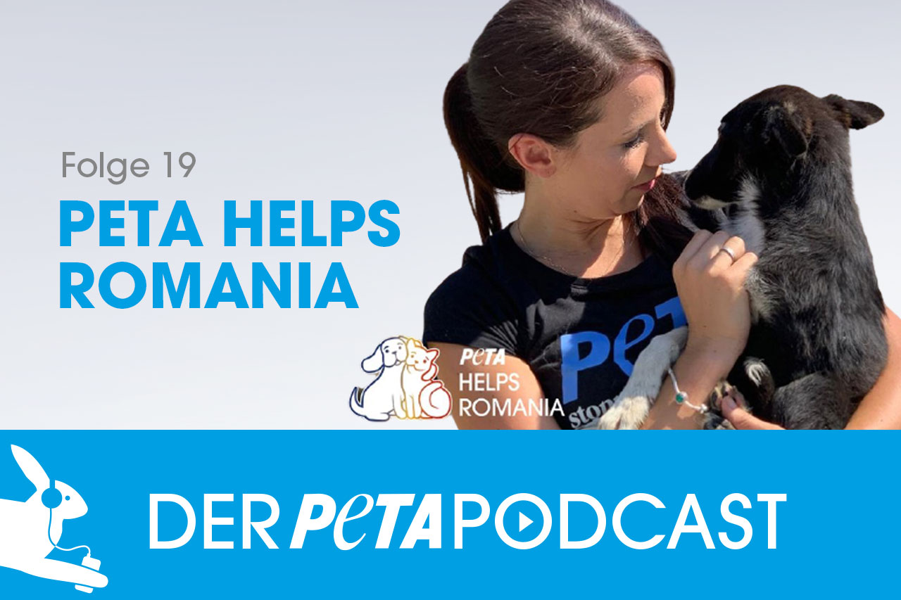 Der PETA-Podcast | Folge 19: PETA helps Romania