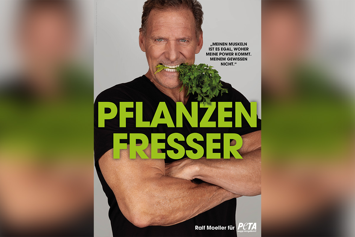 Schauspieler Ralf Moeller zeigt sich als „Pflanzenfresser“ stark, fit und fleischfrei