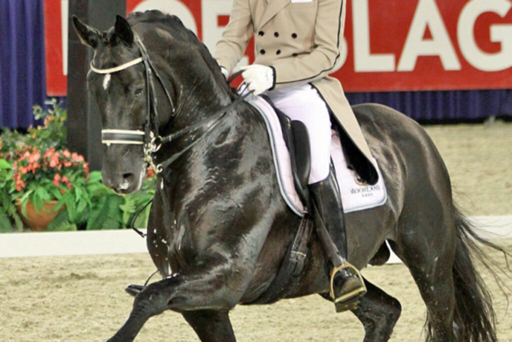 Totilas Pferd mit Reiter